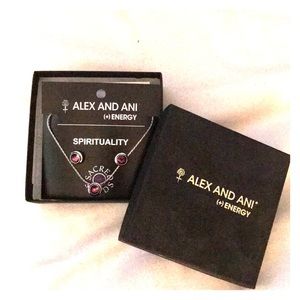 Alex and Ani necklace and earring set